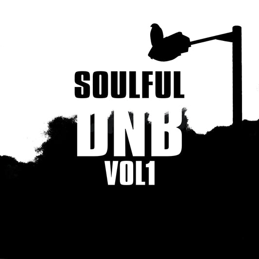 Soulful DnB Sample Pack Vol 1