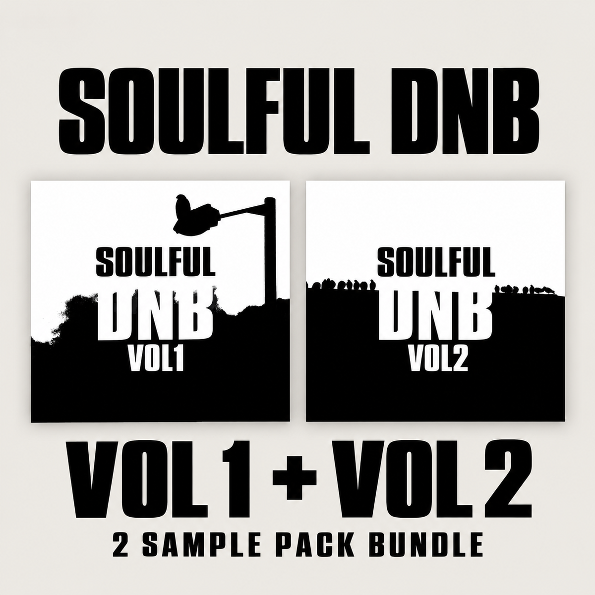 Soulful DnB Vol 1 + Vol 2 — both complete sample packs included