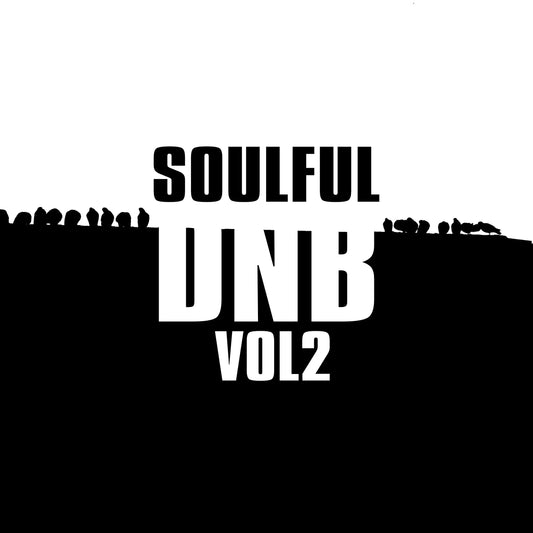 Soulful DnB Sample Pack Vol 2